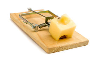 Cheese mousetrap woodenboard metalhandle metalnut - furaffinity free wallpaper for desktop