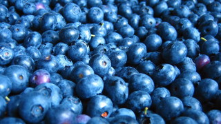 Blueberry pile table macro synthetism - top of a table next free wallpaper