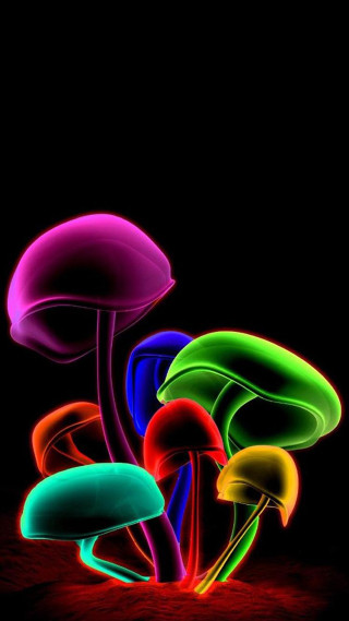 Mushrooms colorful night dark group - art green free wallpaper for mobile