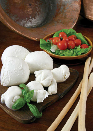 Wooden cuttingboard cheese vegetables tomatoes - a still life free wallpaper for mobile