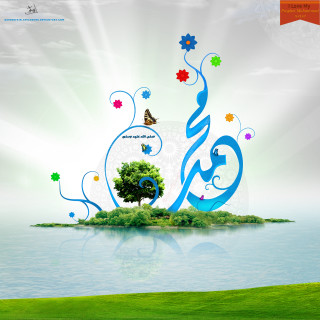 Tree island butterfly flying over - environmental free wallpaper for tablet