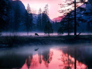 Horse lake sunset mountain background - the middle of a lake free wallpaper for desktop