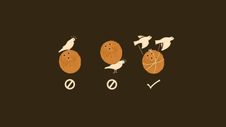 Birds egg conceptual art drawing - a white bird free wallpaper