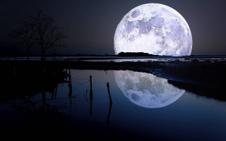 Full moon water night tree - space art free wallpaper