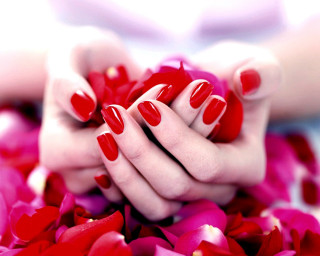 Woman hands red white manicure - araceli gilbert free wallpaper
