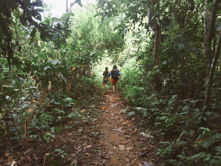 Three people walking trail woods - jungle free wallpaper