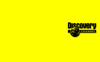 Yellow background black white logo - david diao free wallpaper