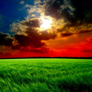 Green grass cloudy sky sunshine 2 - the sun free wallpaper for tablet
