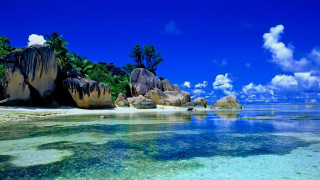 Beach rocks clear water palm - clear free wallpaper for desktop