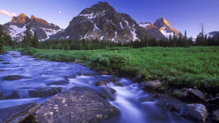 Mountain stream green field forest 2 - hillside free wallpaper for desktop