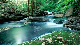 Lush forest waterfall river nature 2 - a waterfall in the middle free wallpaper