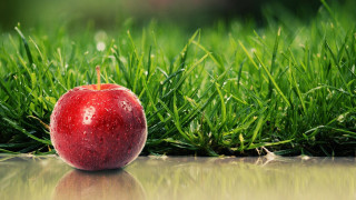 Red apple green field water - a shiny surface free wallpaper
