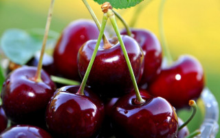 Cherries glass bowl table leaves - a bunch of cherries free wallpaper