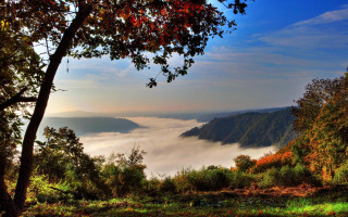 Valley fog trees autumn matte - a view of a valley free wallpaper
