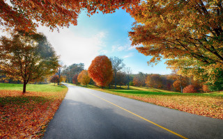 Autumn road yellow line orange - the side of it free wallpaper
