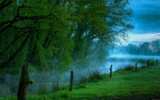 Foggy river fence trees dusk - a fence and trees free wallpaper