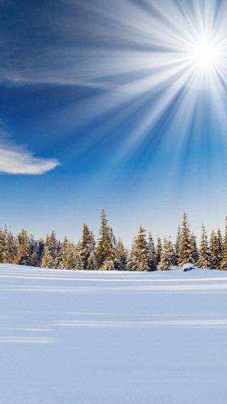 Skiing snow field sunburst forest - free winter wallpaper for mobile