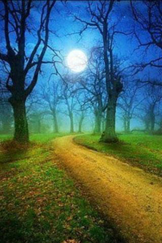 Dirt road forest full moon - free forest wallpaper