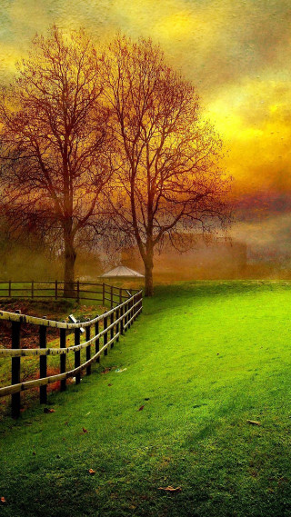 Fence trees field sunset foggy 2 - free autumn wallpaper for mobile