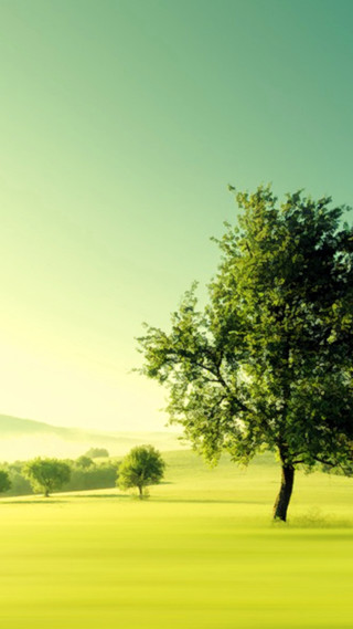Tree green field blue sky - a green field free wallpaper for mobile