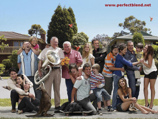 Group people dog trumpet man - andrew bell free wallpaper