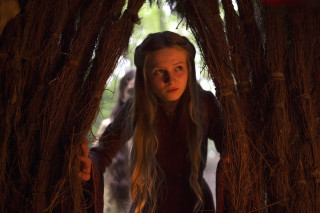 Woman forest branches head braided - hair free wallpaper