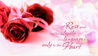 Two roses pink ribbon message - two rose free wallpaper
