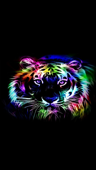 Colorful tiger black background white - carlos trillo name free wallpaper for mobile