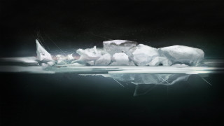 Polar bear ice water sailboat - a sailboat in the background free wallpaper for desktop