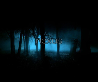 Dark forest light exxis neoism - a dark forest free wallpaper