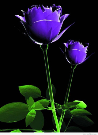 Purple flowers green leaves gothic - anne stokes free wallpaper for mobile