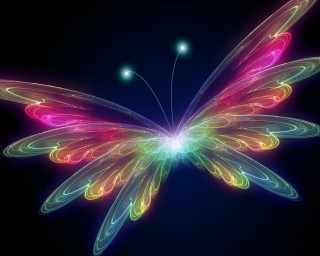 Colorful butterfly black blue lightning - a colorful butterfly free wallpaper