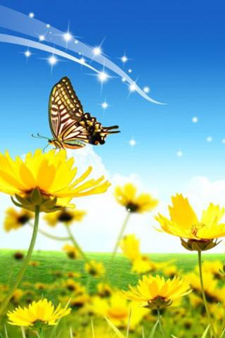 Butterfly yellow flowers blue sky - over a field free wallpaper for mobile