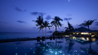 Pool lights palm trees night 2 - dreamlike free wallpaper