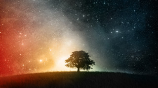 Lone tree hill night sky 7 - the horizon free wallpaper for desktop