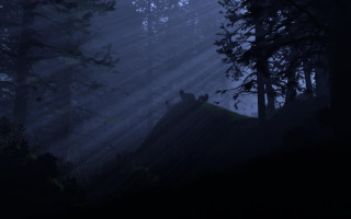 Deer dark forest sunlight foggy - the dark forest free wallpaper