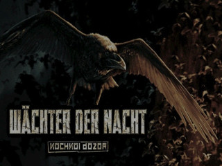 Large bird flying wings spread - a large bird free wallpaper for desktop