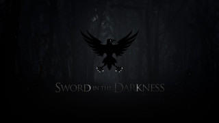 Dark background bird sword in - the middle of the image free wallpaper