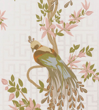 Bird long tail tree branch - a bird free wallpaper for tablet