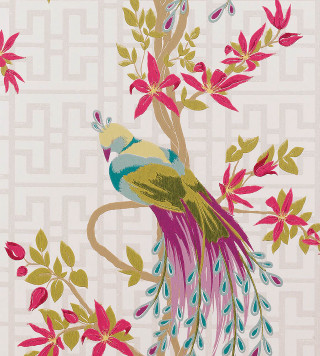 Bird long tail branch flowers - a branch free wallpaper for tablet