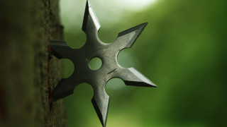 Metal star object tree trunk - sharp foccus ilustration free wallpaper