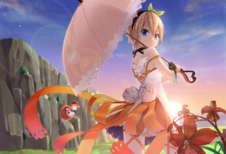 Woman dress umbrella field flowers - global free wallpaper