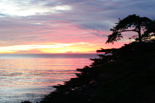 Sunset ocean tree cliff person - the beach in the distance free wallpaper