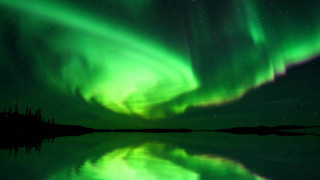 Green purple aurora lake trees - aurora free wallpaper