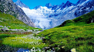 Mountain stream grassy field flowers - the foreground and a mountain range in the background free wallpaper
