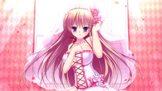 Girl long hair corset head - a bed free wallpaper