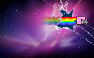 Broken glass rainbow cat side - a broken glass free wallpaper