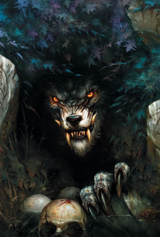 Wolf skull mouth foreground skull - magic free wallpaper for mobile