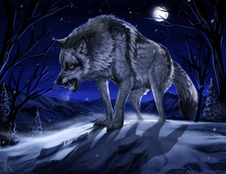 Wolf snow night fullmoon trees - a wolf free wallpaper