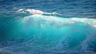 Large wave breaking ocean top - a large wave free wallpaper